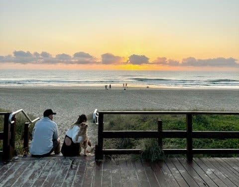 Mermaid Beach Neighbourhood Guide Locals Tip